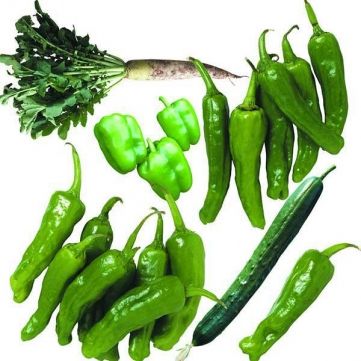 绿色蔬菜,蔬菜种植,新鲜蔬菜批发,农副产品销售,农产品初级加工